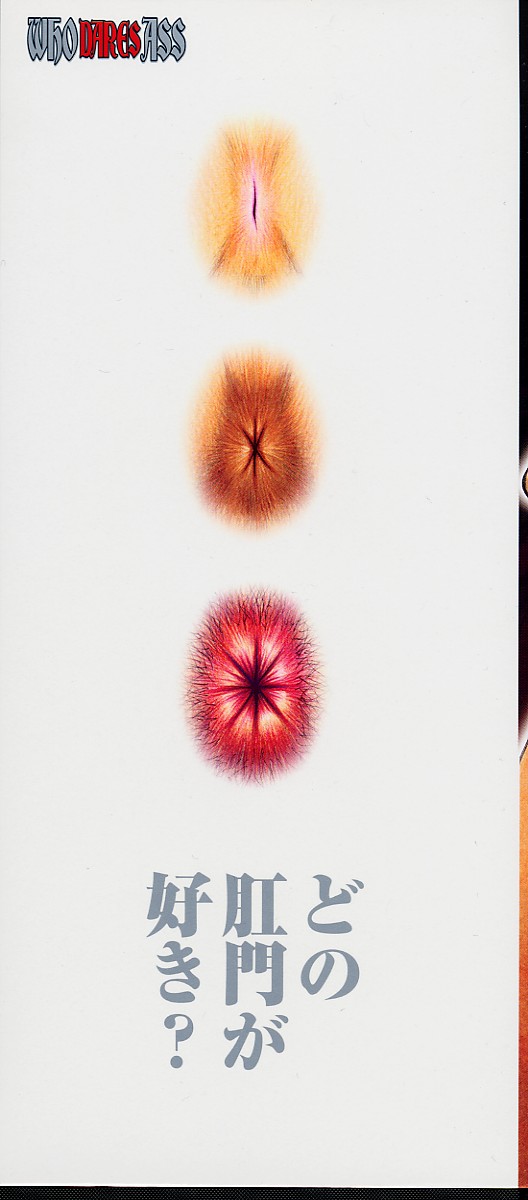 Who Dares Ass page 3 full