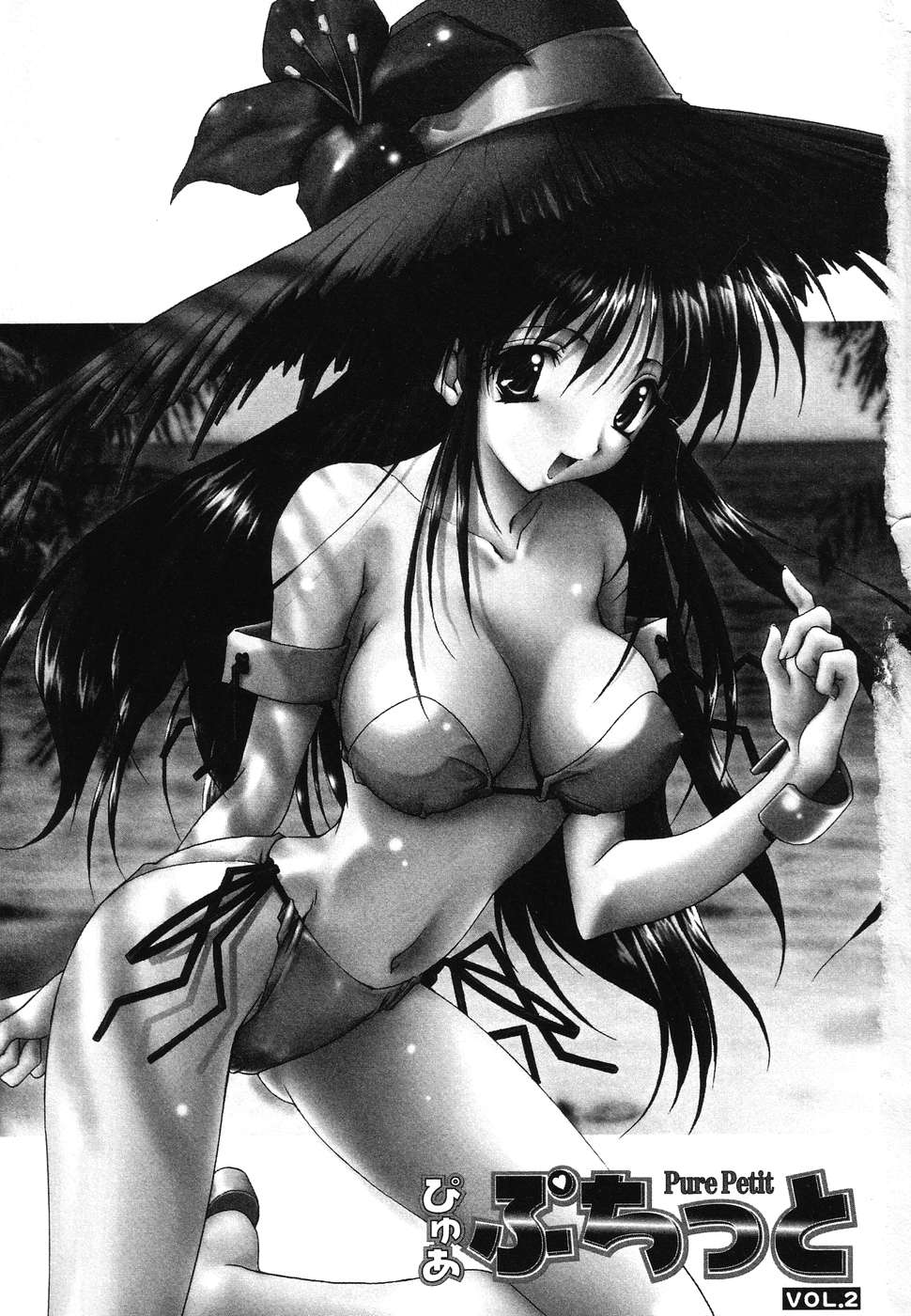 Pure Petit Vol. 2 page 4 full