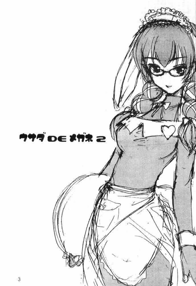 Usada de Megane 2 page 2 full