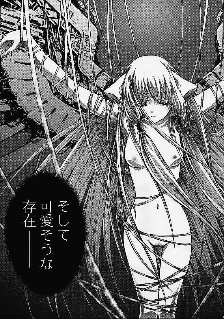 Outlet 9 page 9 full