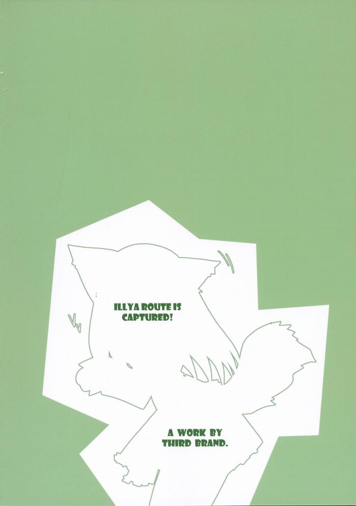 Illya Route Kouryaku! Ni. page 2 full