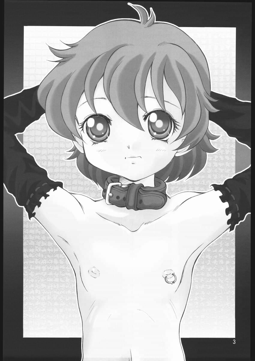 S-DOG FILE001 page 2 full