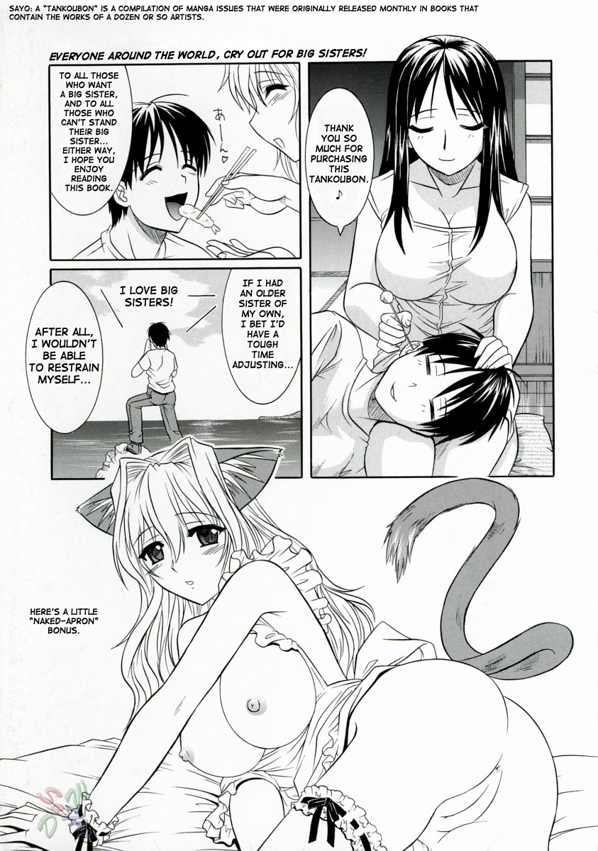 Ane no Ana - An elder sister's lewd cavity page 4 full