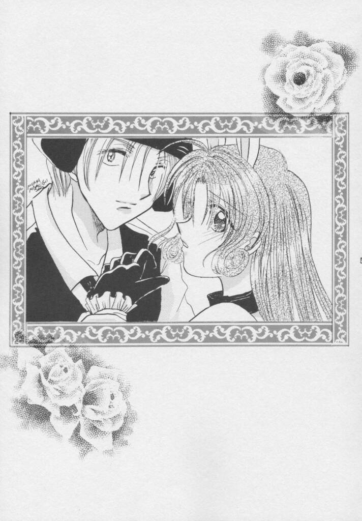 Pink Rose page 4 full