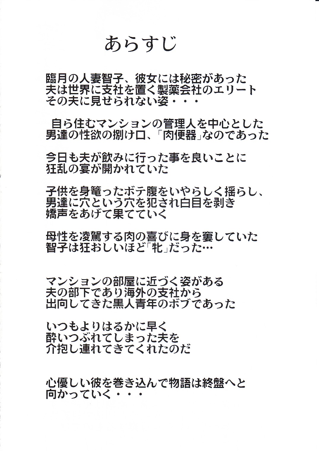 Daraku Ninpu Tsuma 3 page 3 full