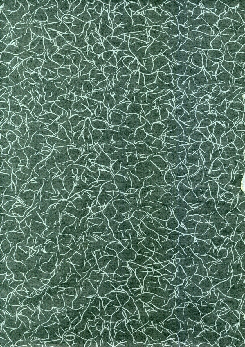 Sakura-Ame CROQUIS page 2 full