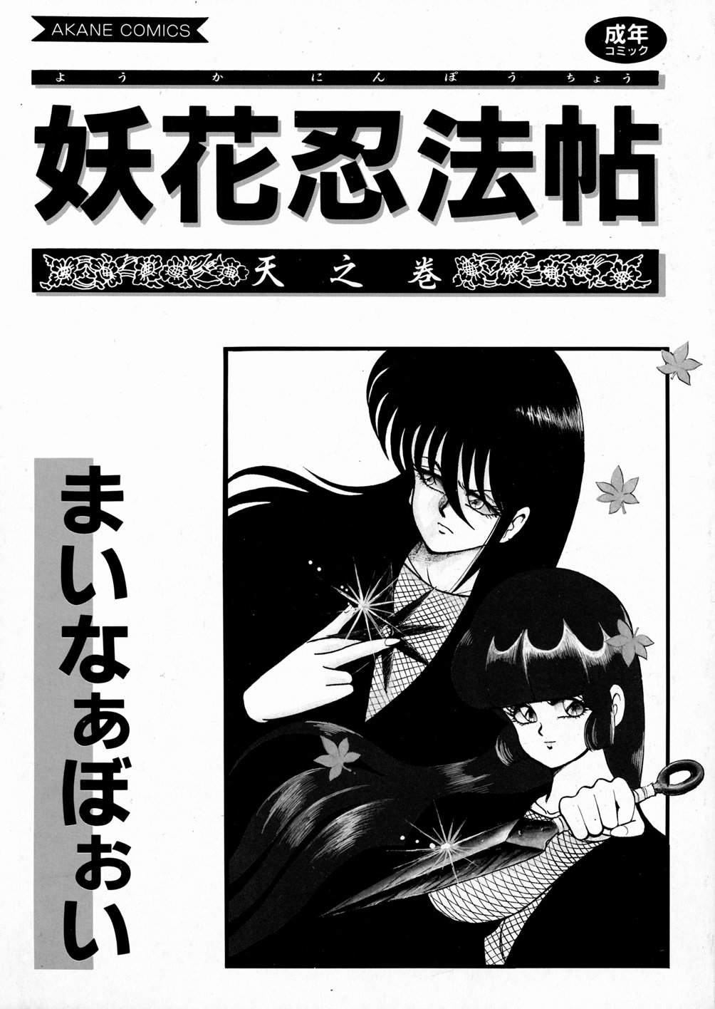 Youka Ninpouchou Ten no Maki page 3 full