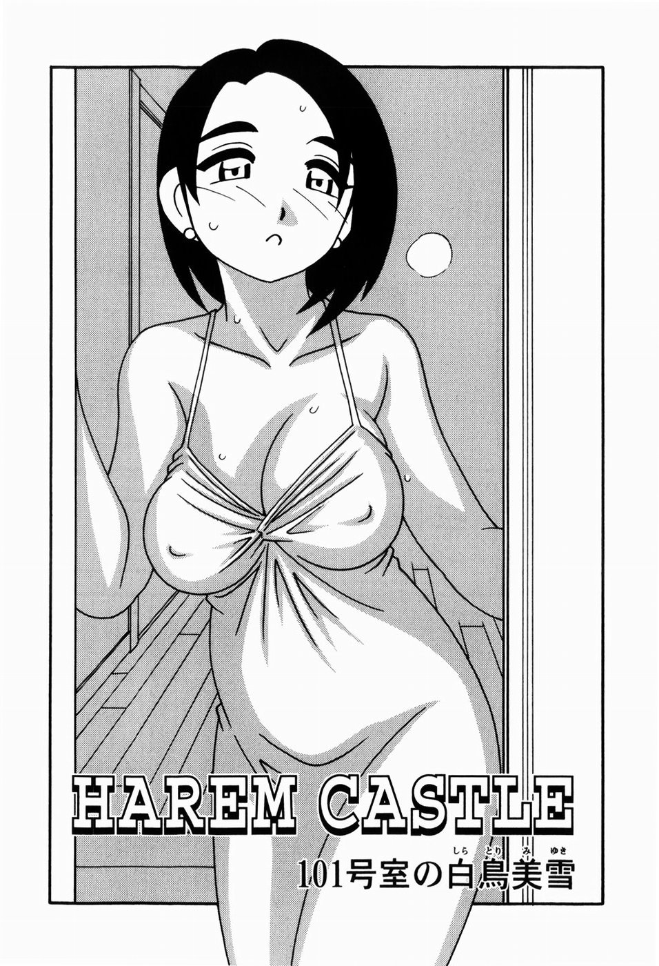 HAREM CASTLE page 10 full