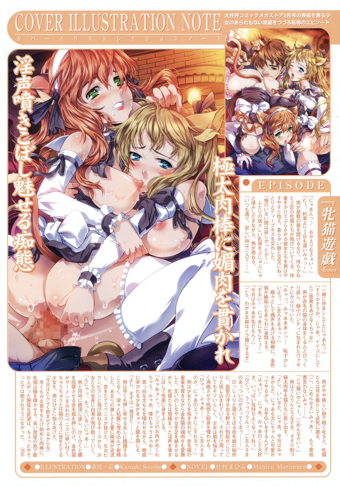 Comic Megastore 2008-06 page 2 full