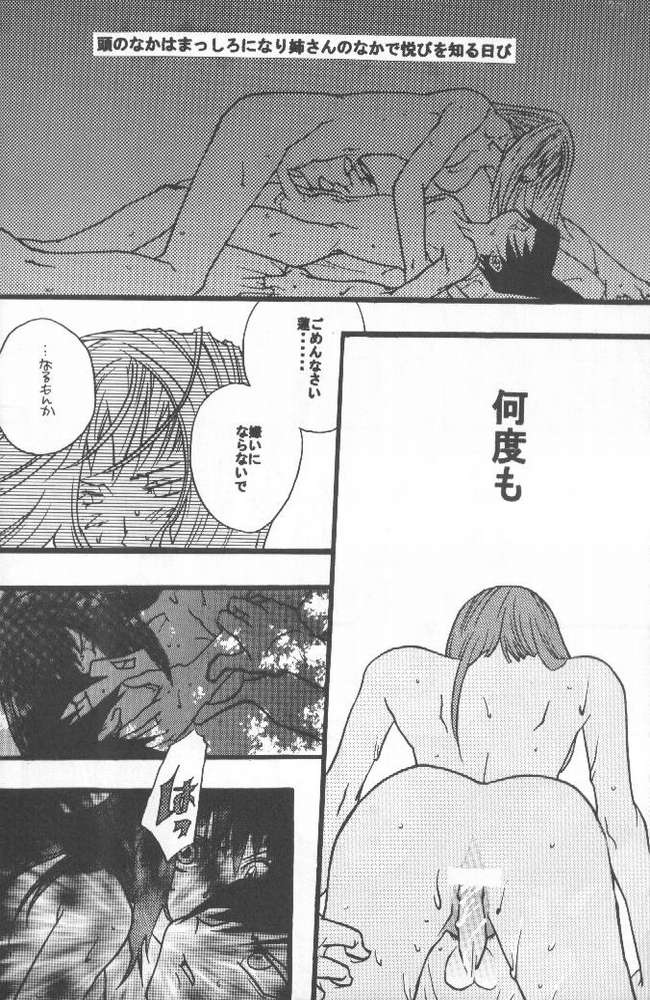 Shamanic Kingdom page 3 full