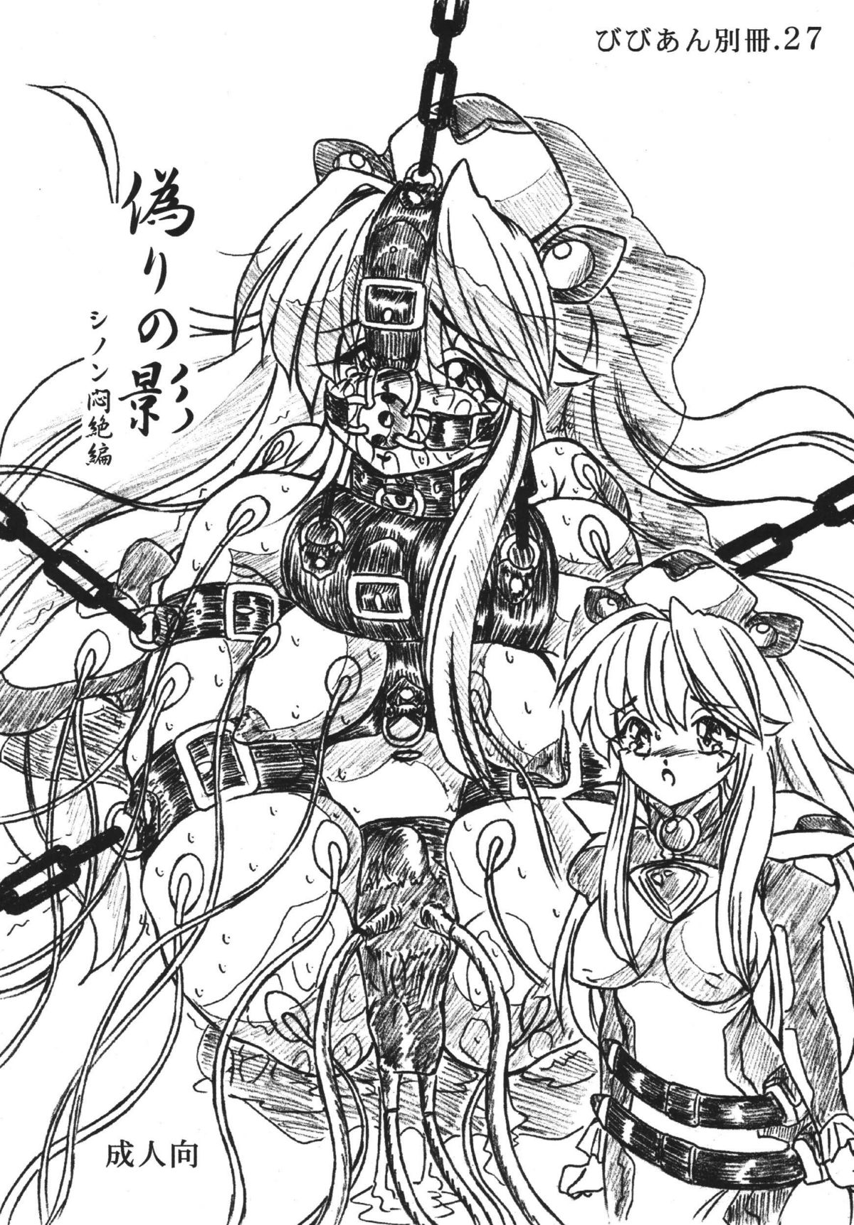 Vivian Bessatsu. 27 Itsuwari no Kage Sinon Monzetsu Hen page 1 full