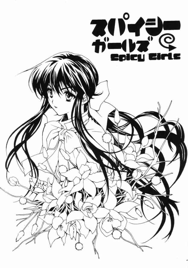 Spicy Girls page 2 full