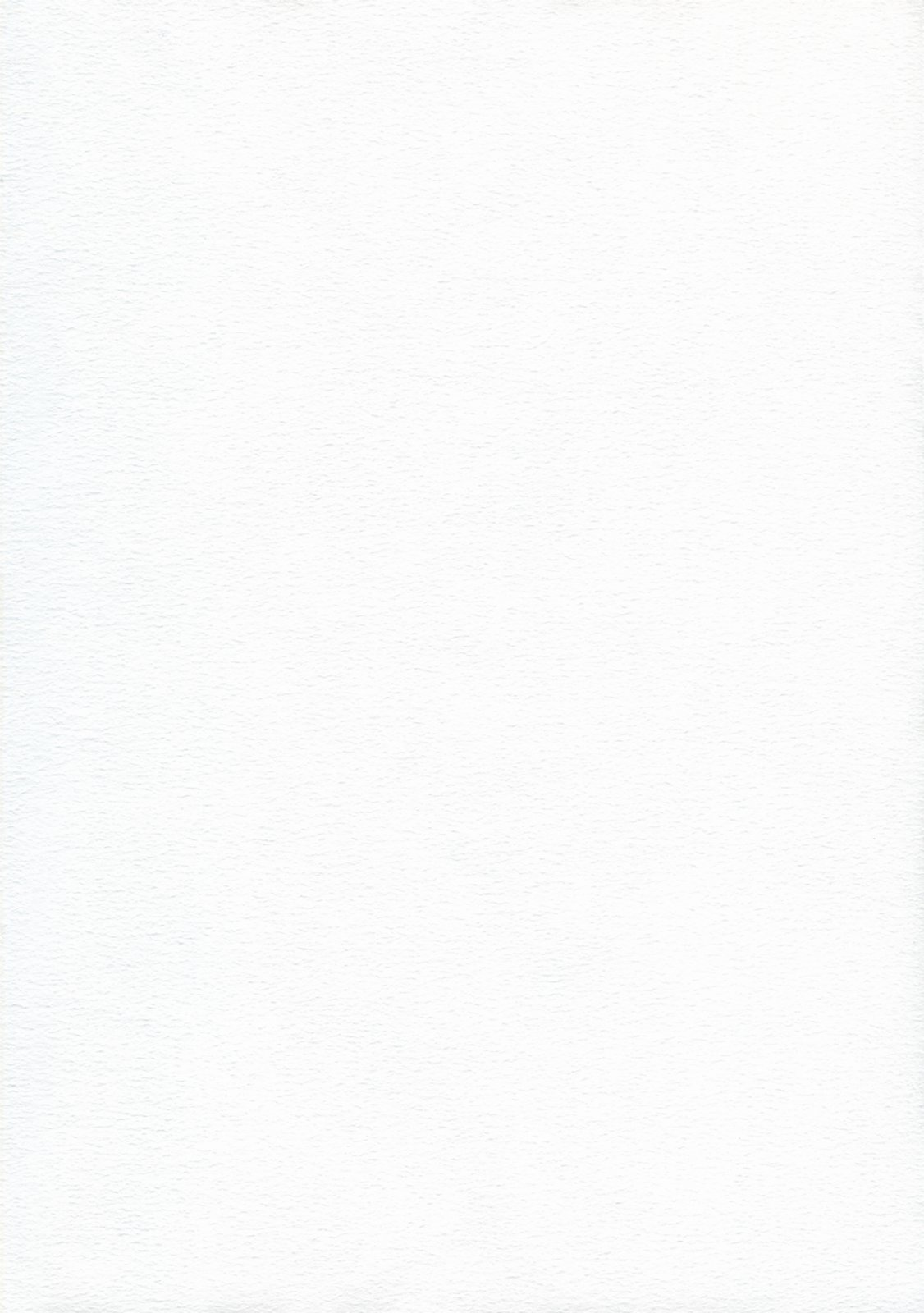 Kon'ya no go chūmon wa dotchi? | As for order of tonight which page 2 full