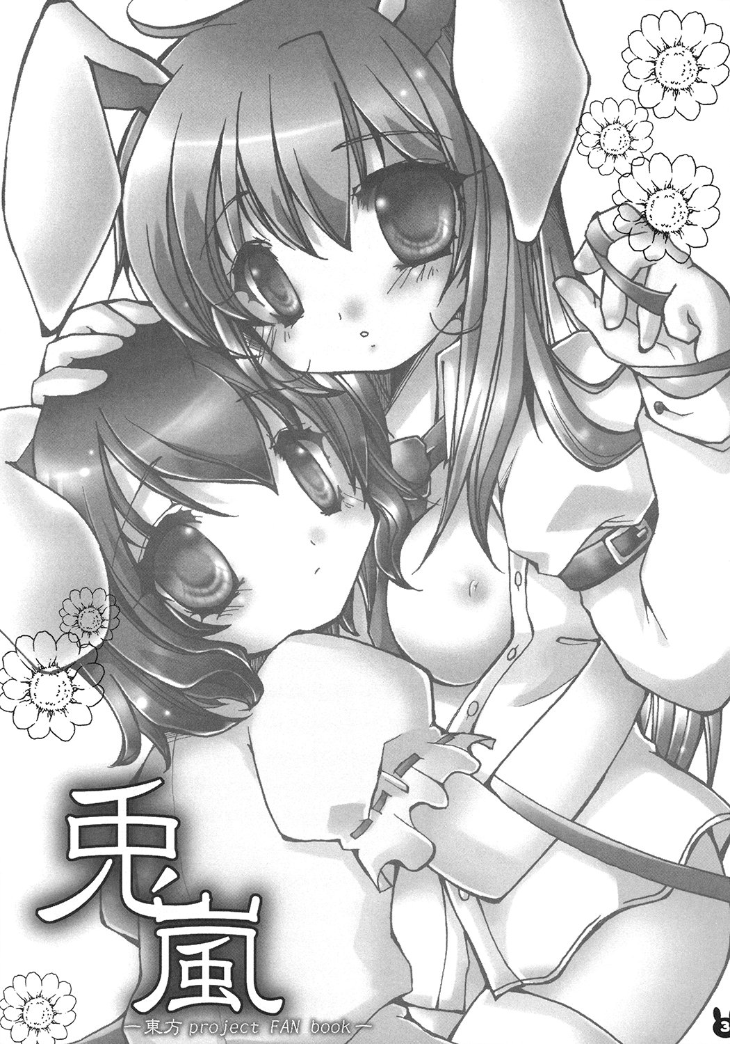 Usagi Arashi page 2 full