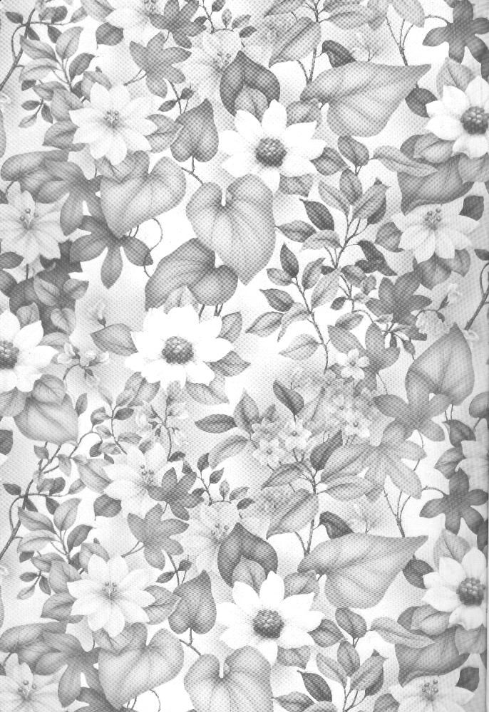 CARDCAPTOR SAKURACHANG! page 2 full