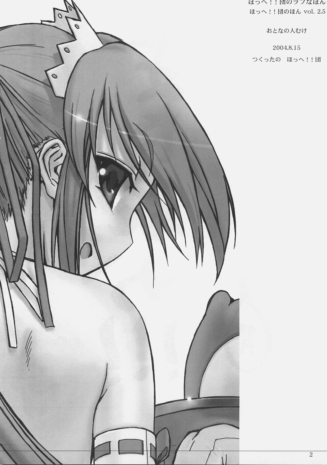 Hohhe!! Dan no Rough na Hon vol. 2.5 page 3 full