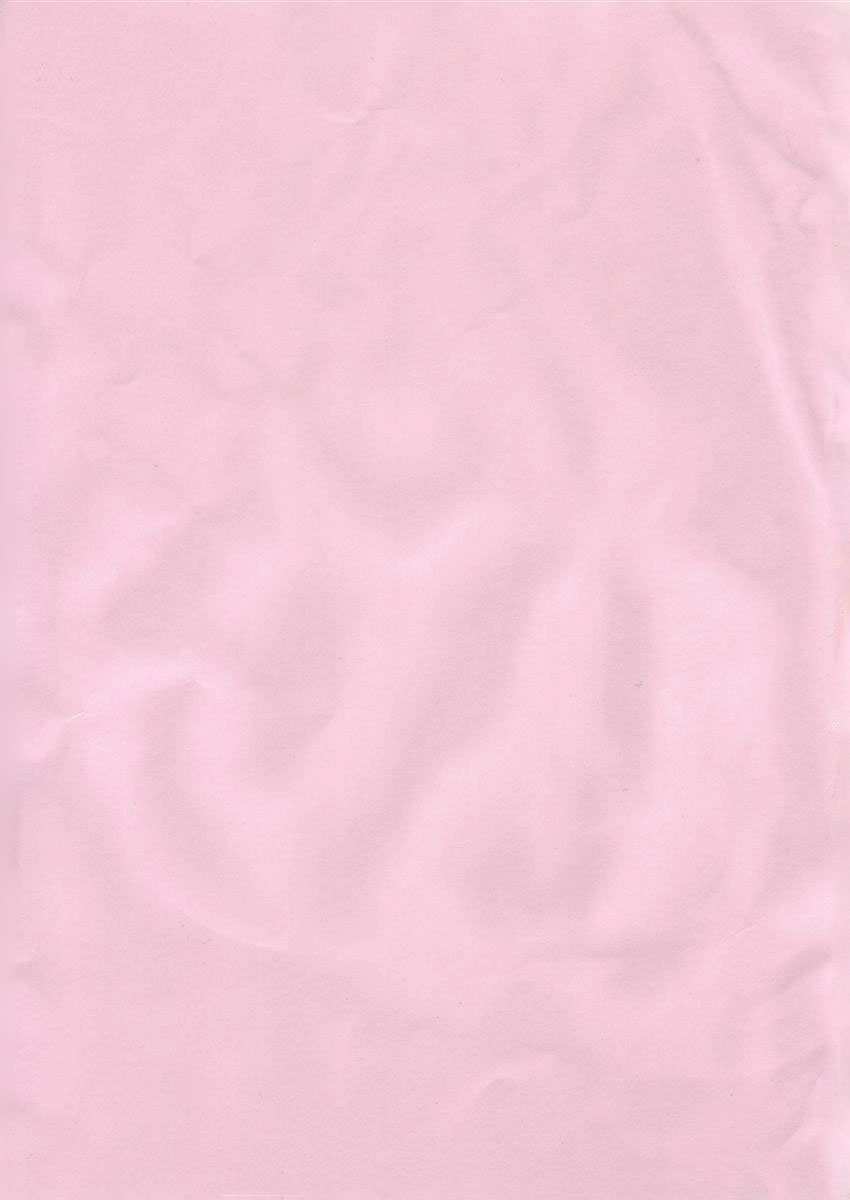 DOAX no Oppai Suki Suki page 2 full