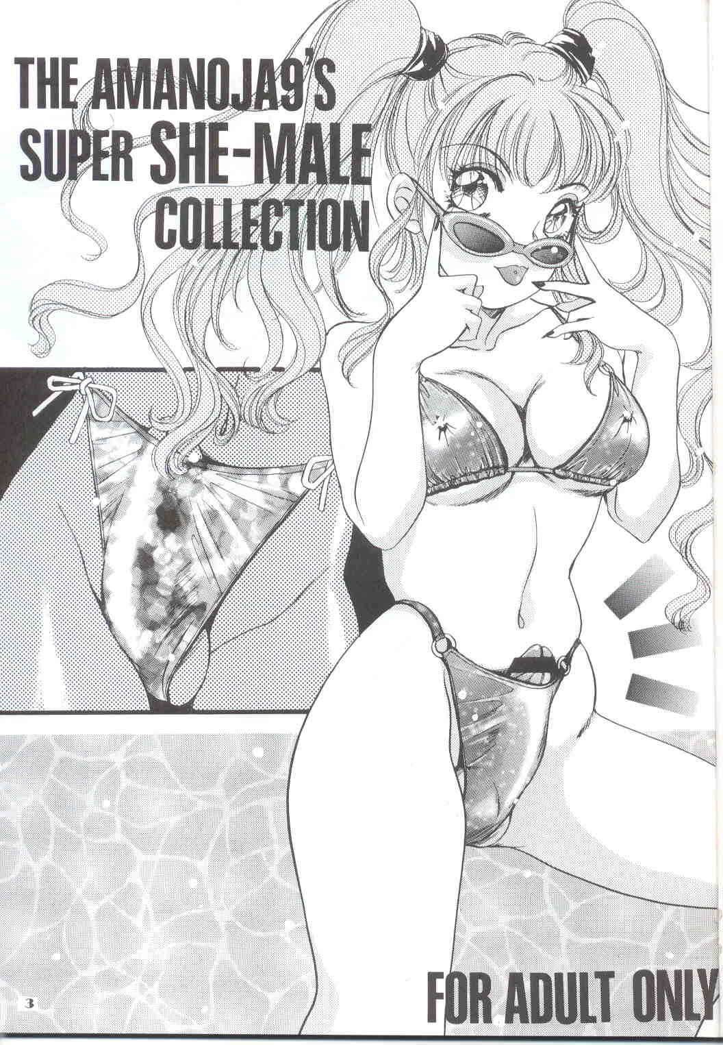 Shemale Behaviour Illustration page 2 full