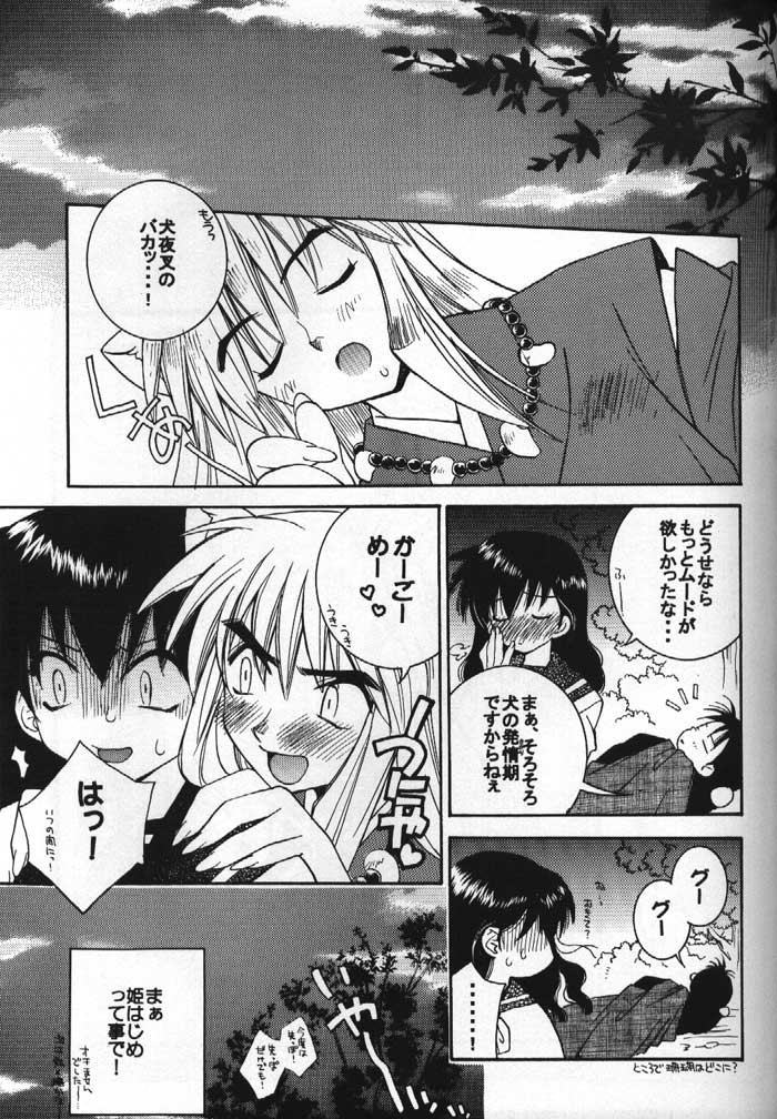 Inuyasha Doku Hon page 10 full