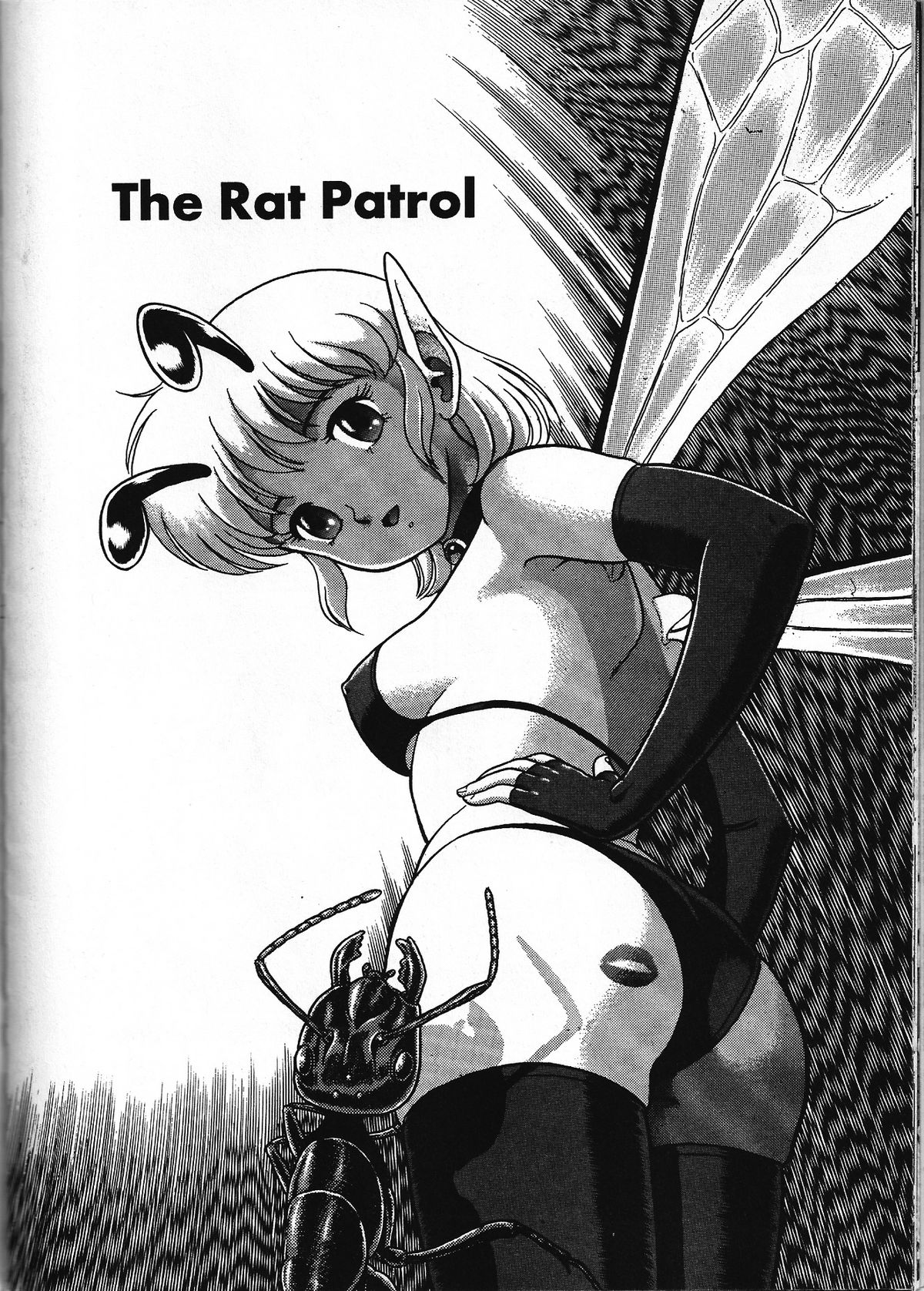 The New Bondage Fairies 02 page 3 full