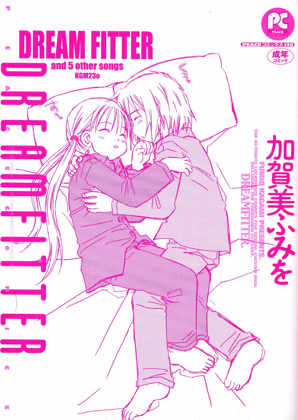 DREAM FITTER page 3 full