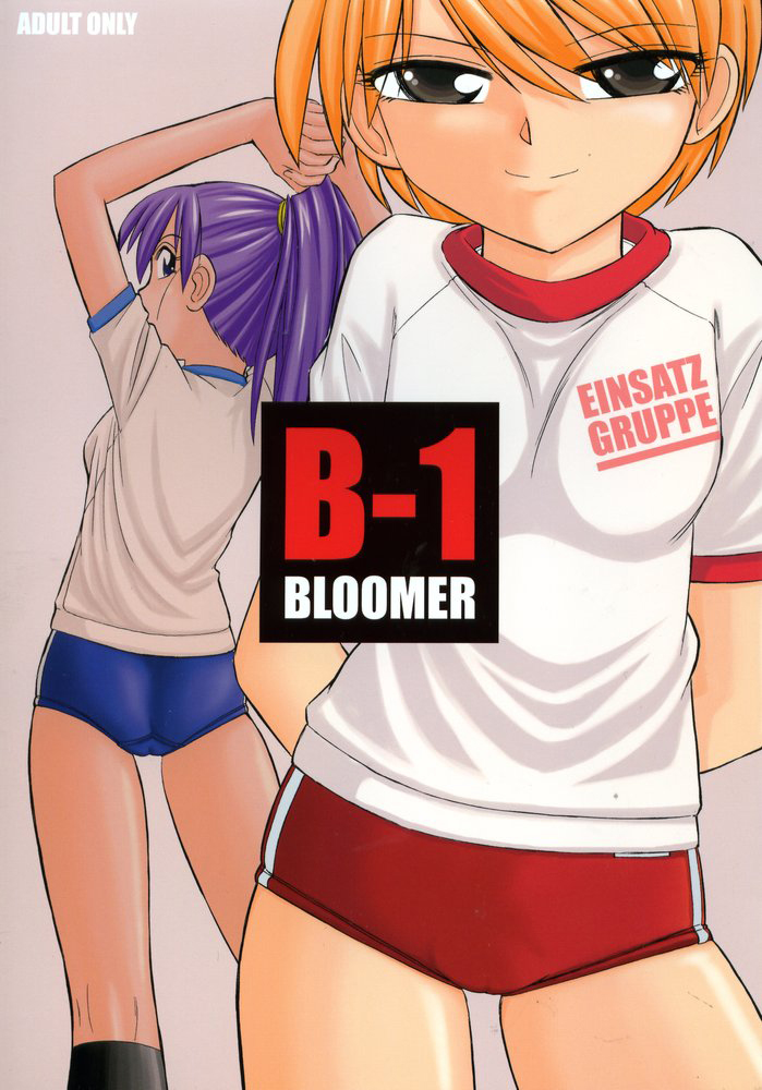 B-1 BLOOMER page 1 full