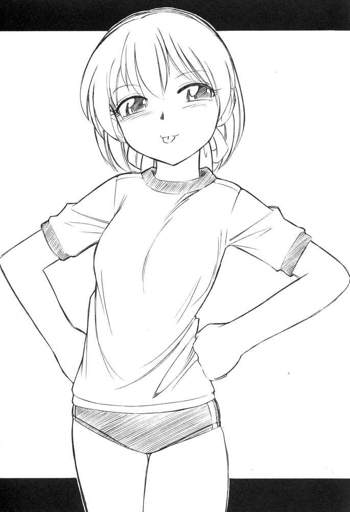 B-1 BLOOMER page 2 full