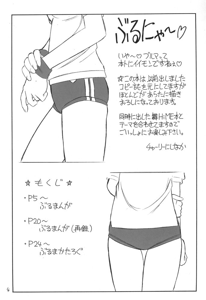 B-1 BLOOMER page 3 full