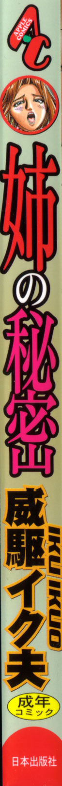 Ane no Himitsu page 2 full