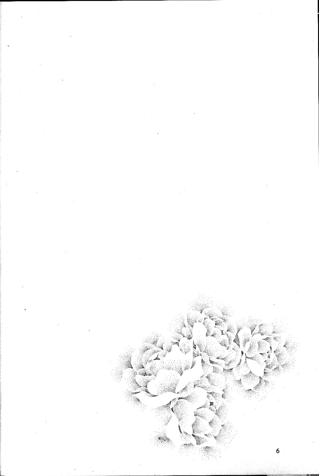 Shiori Dai-Kyuu-Shou Garasugoshi no Real page 5 full