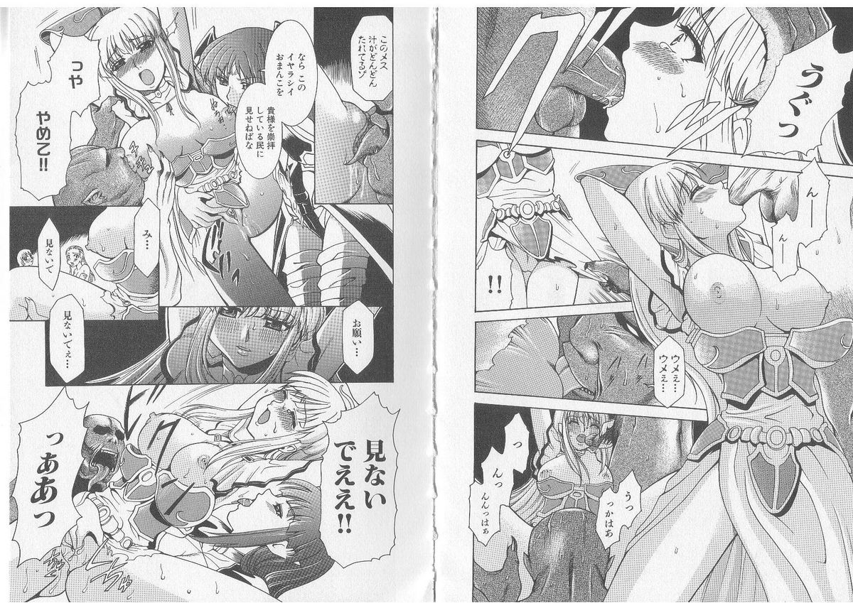 Ikusa Otome Valkyrie 'Anata ni Subete wo Sasagemasu' page 10 full
