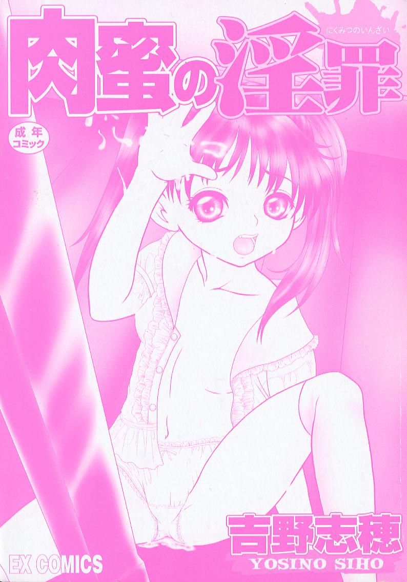 Nikumitsu no Inzai page 3 full