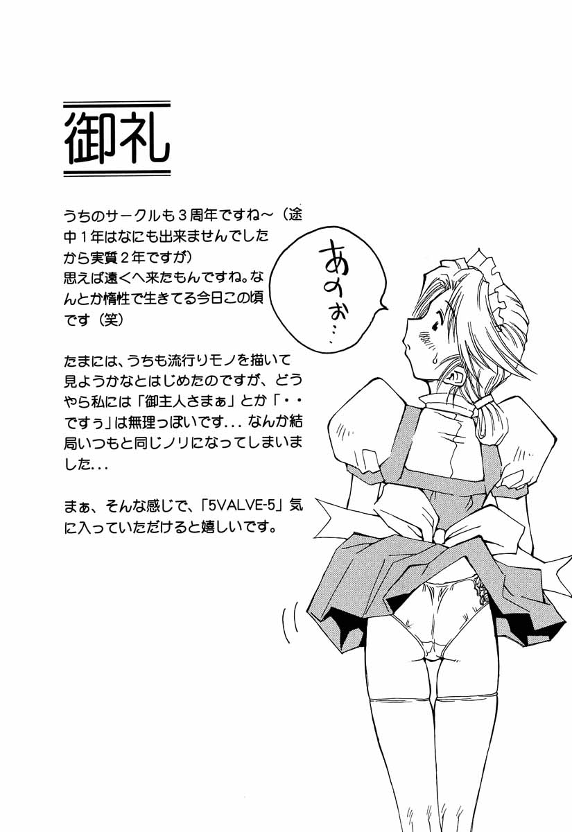 5VALVE-5 page 3 full