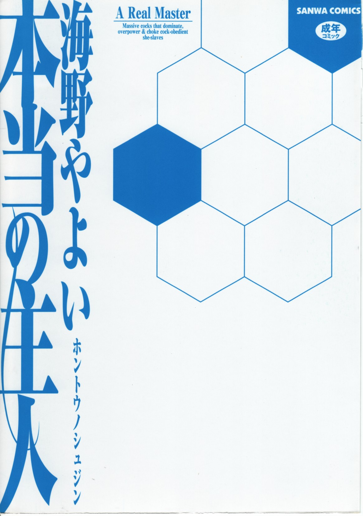 Hontou no Shujin - A Real Master page 3 full