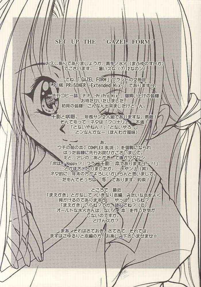 PINK PRISONER -Extended Mix- page 2 full