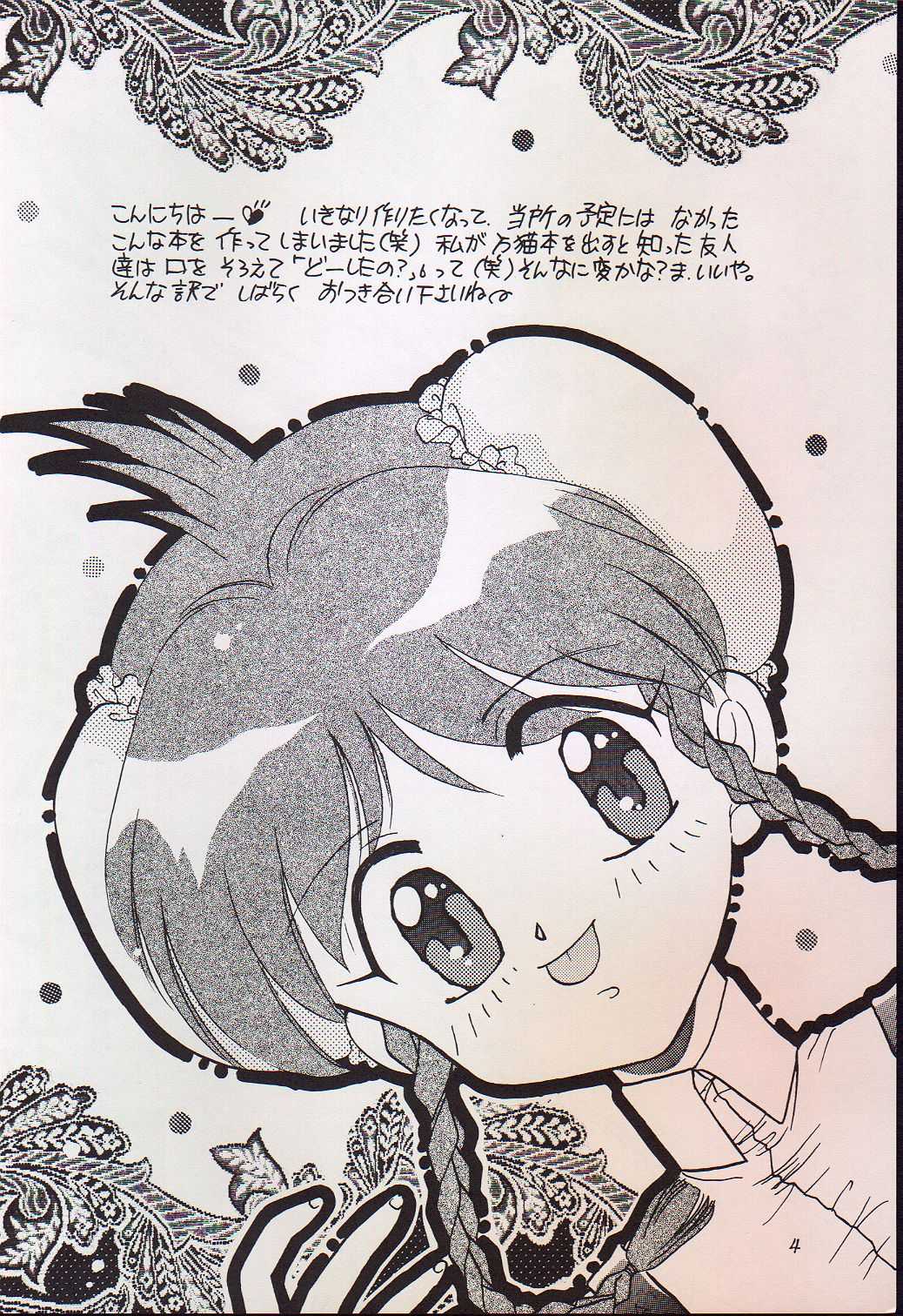 Yasashii Hito no Soba ga Suki Bannou Bunga Neko Musume page 4 full