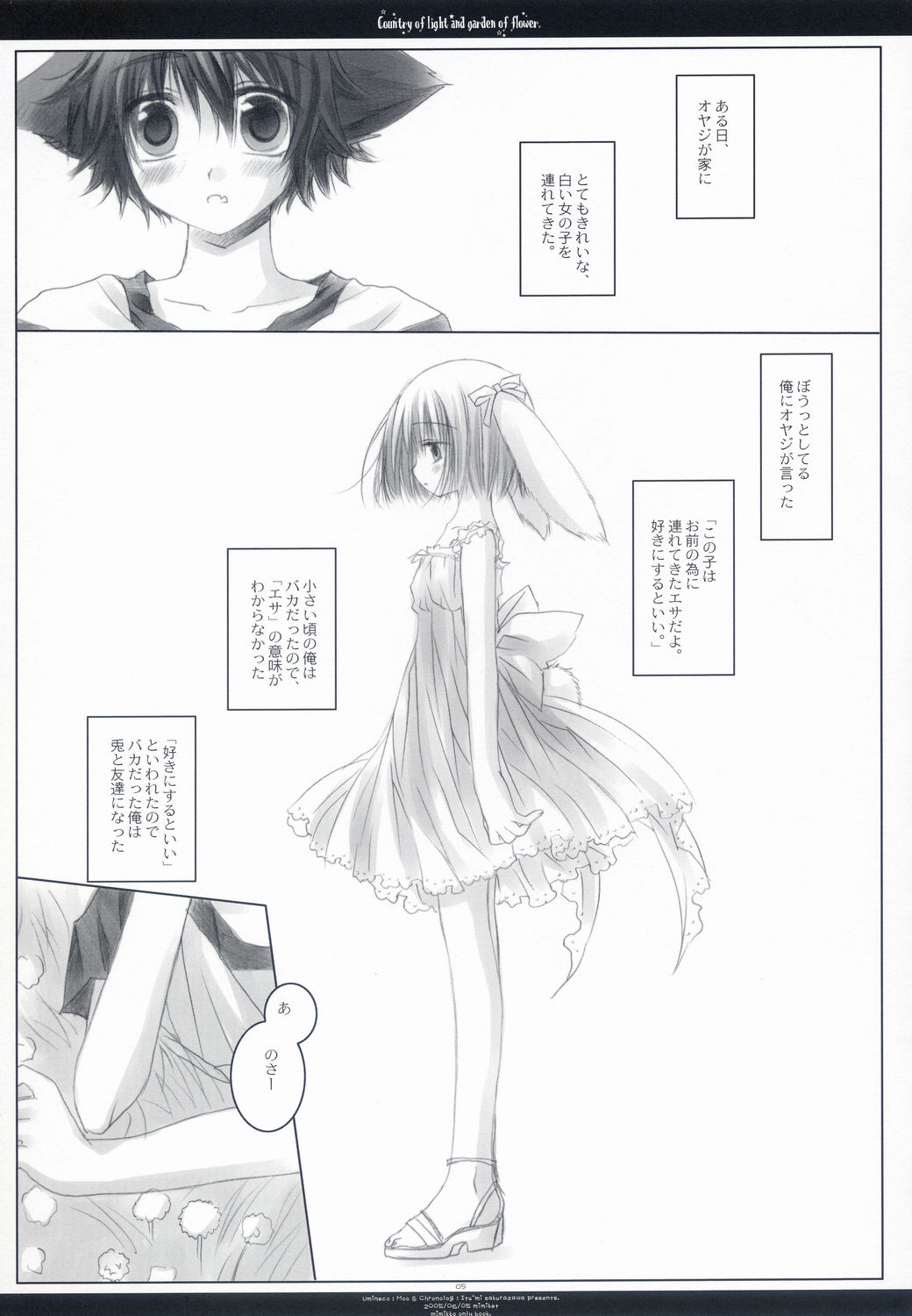 Country of light and garden of flower page 4 full