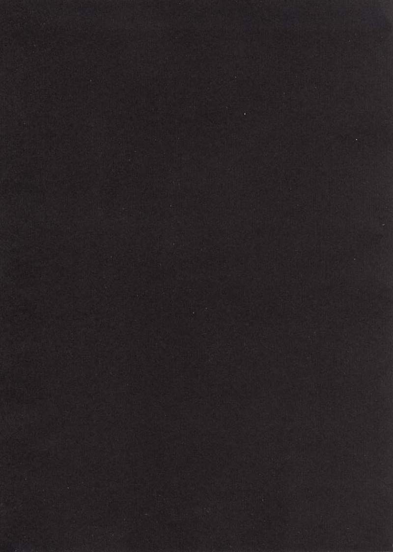 Wan Ryuumin Nyuujoku page 2 full