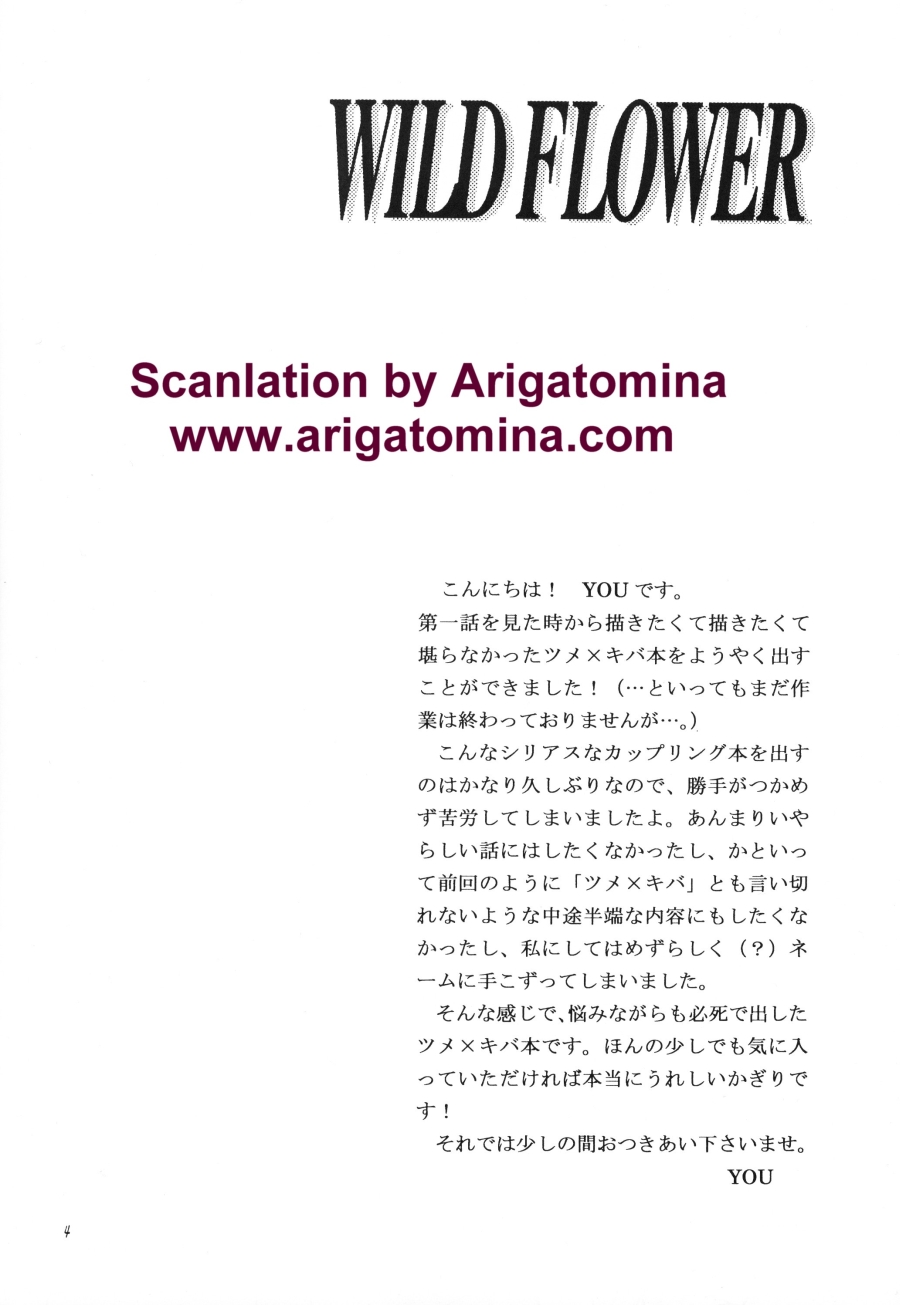 Wild Flower page 3 full