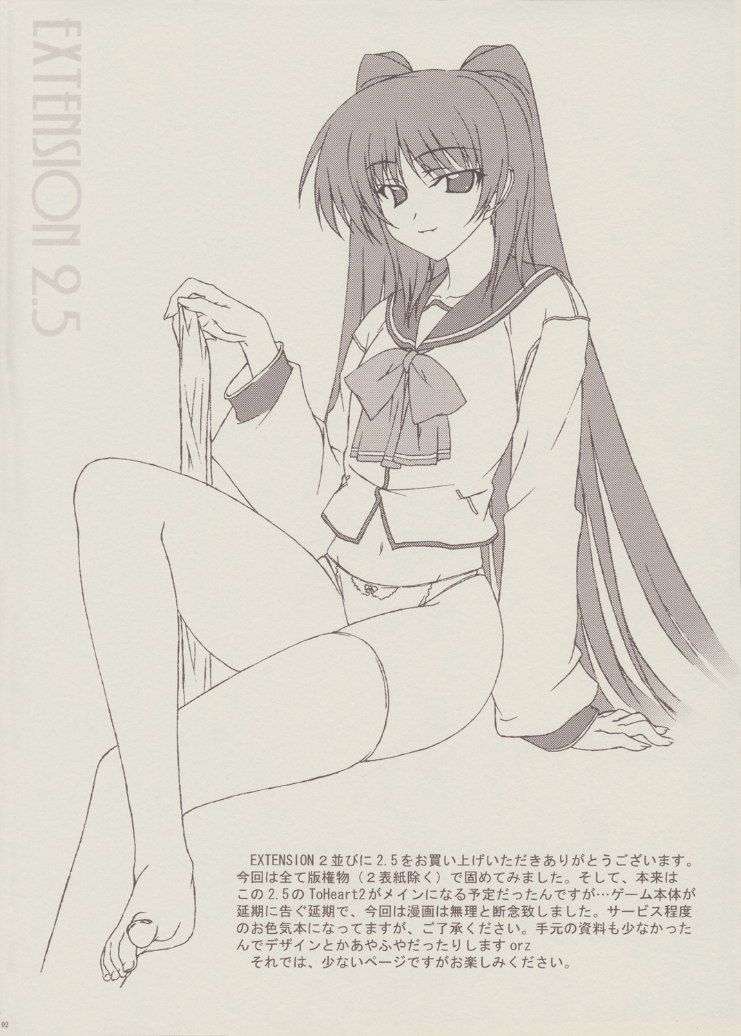 EXTENSION 2.5 page 2 full