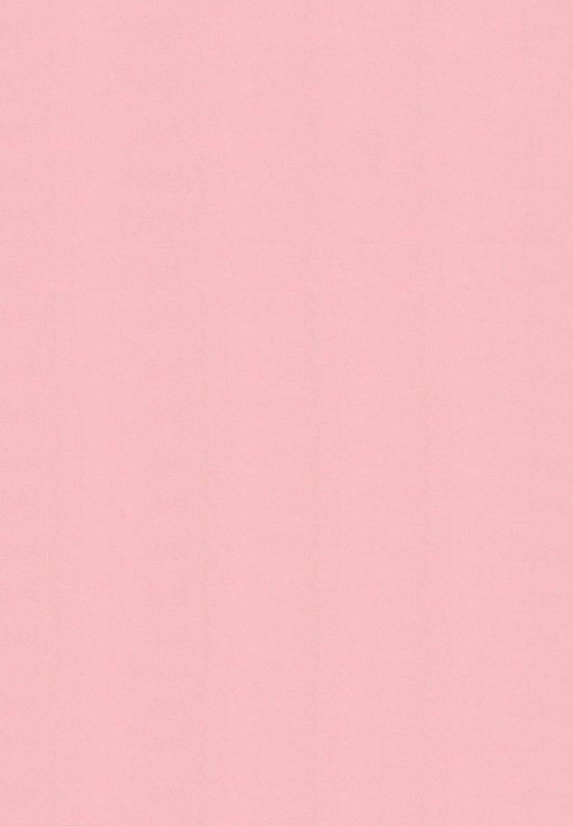 Binyuu Manifest page 3 full