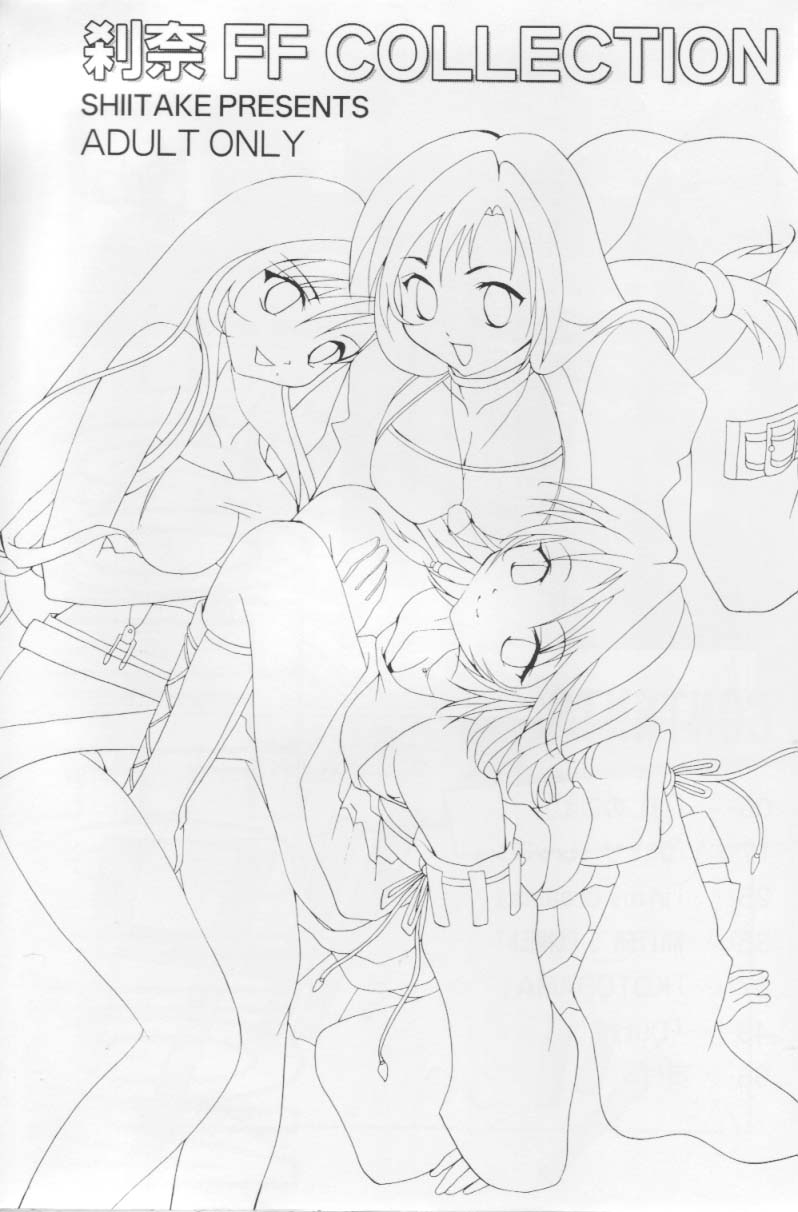 Setsuna FF COLLECTION page 2 full