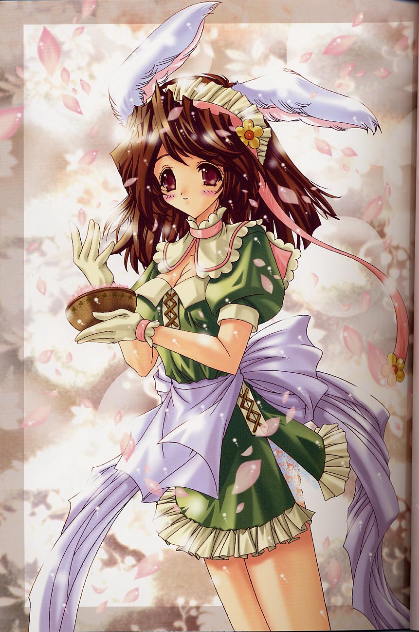 Ragdoll 8 page 2 full