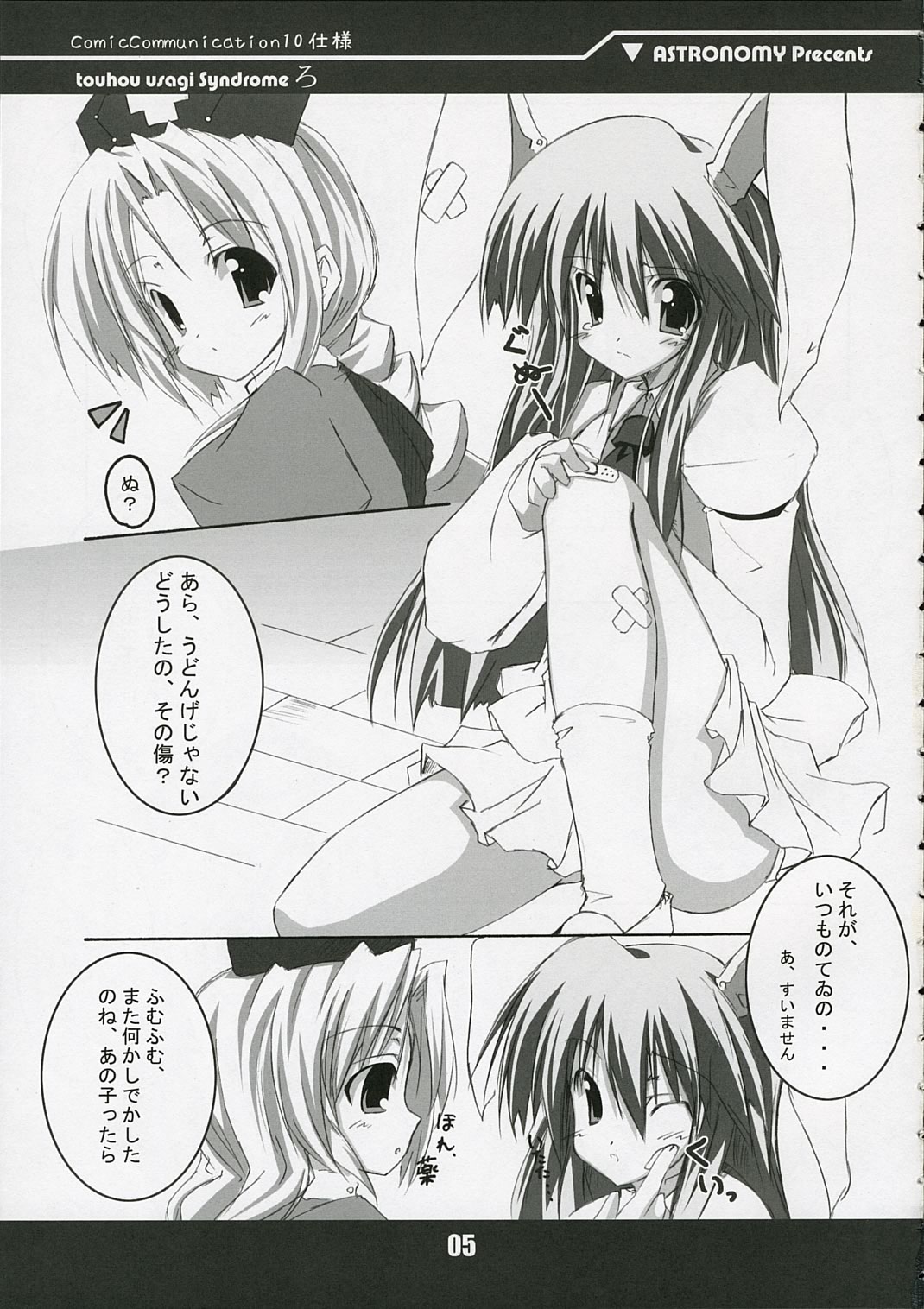 touhou usagi Syndrome Ro page 5 full