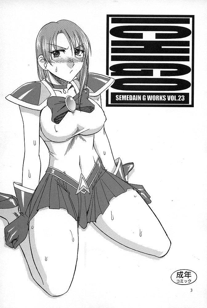 SEMEDAIN G WORKS Vol. 23 - ICHIGO page 2 full