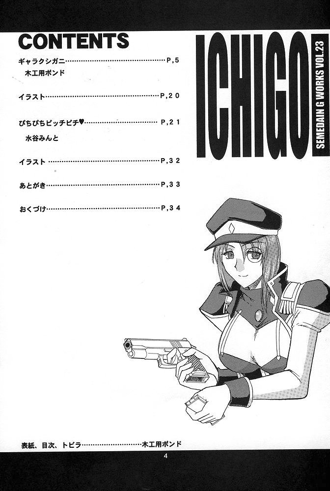 SEMEDAIN G WORKS Vol. 23 - ICHIGO page 3 full