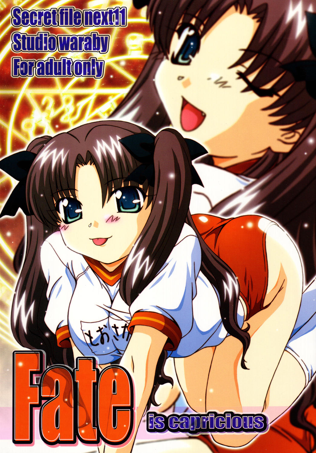 SECRET FILE NEXT 11 - Fate is capricious page 1 full