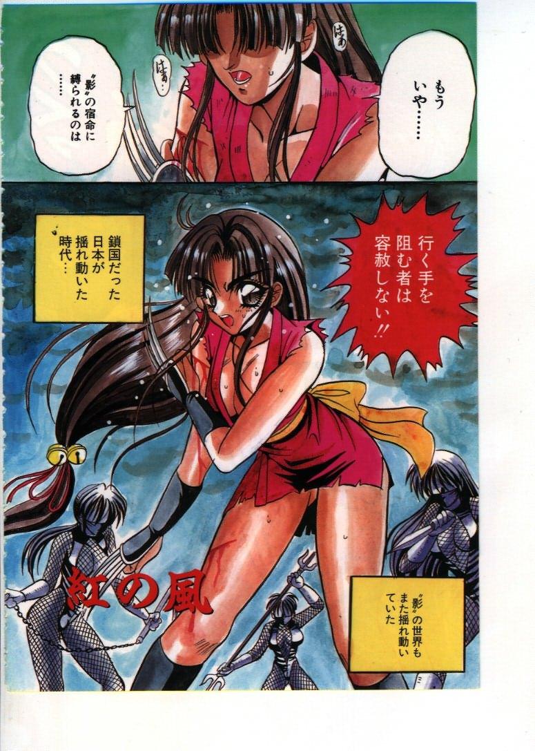 Fairy Paradise page 4 full