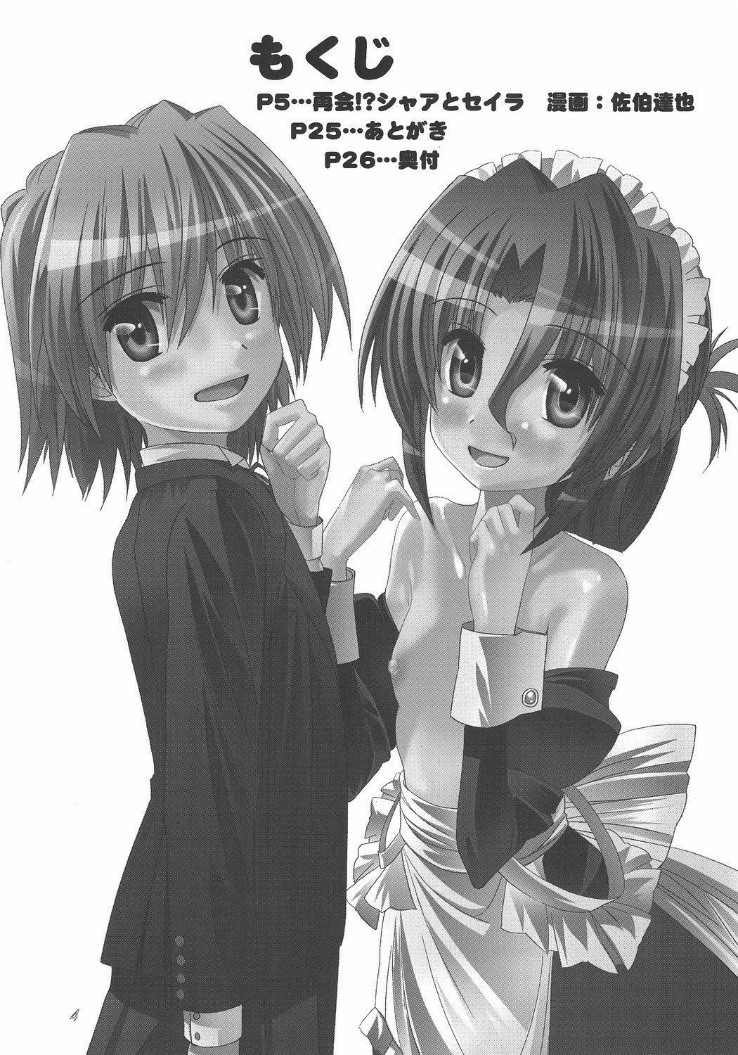 Saikai!? Char to Sayla page 3 full