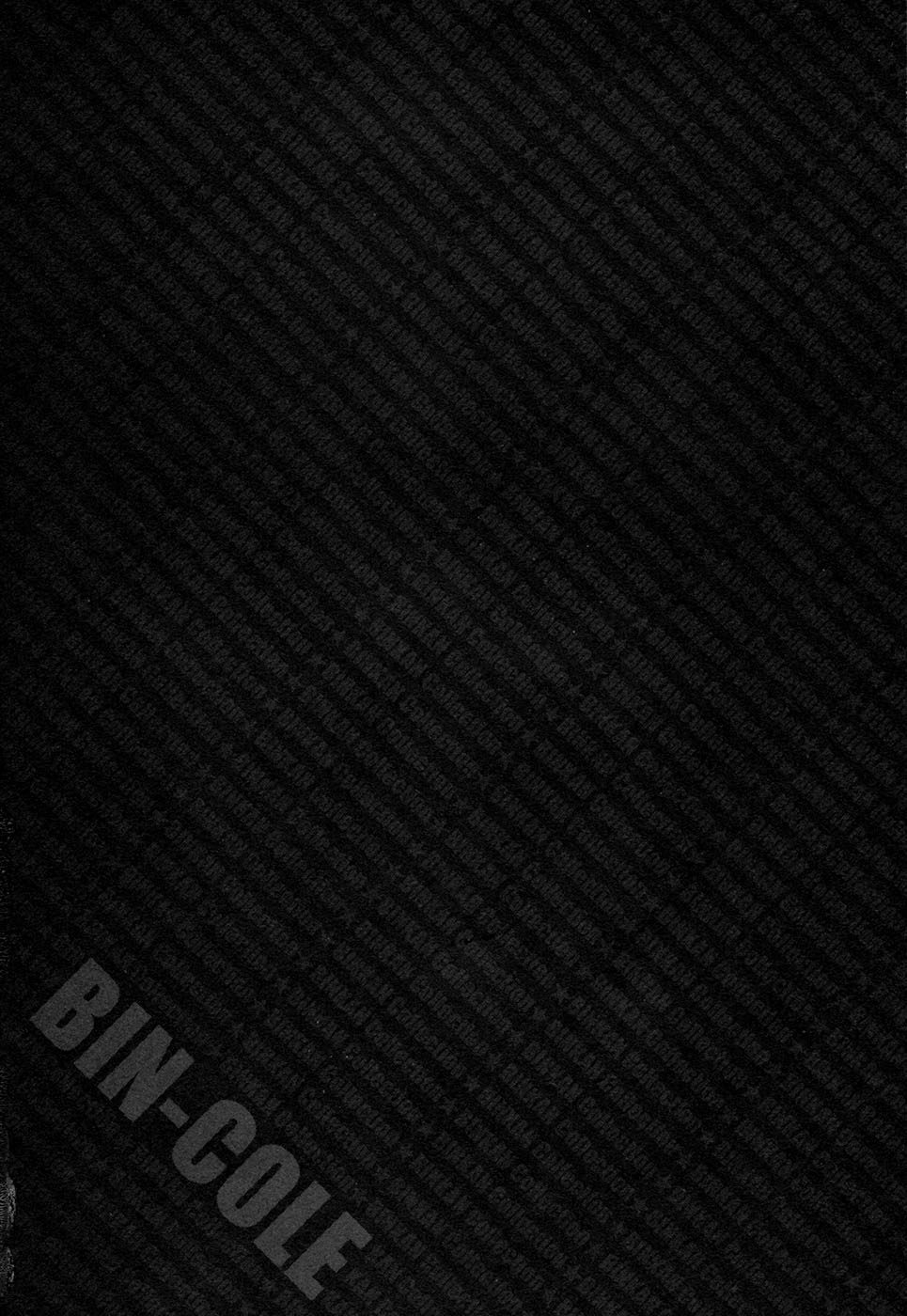 BinColle - Binkan Collection page 4 full